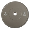 Диск бамперный Explode PP227-5 5 кг - купить в Киеве и Украине